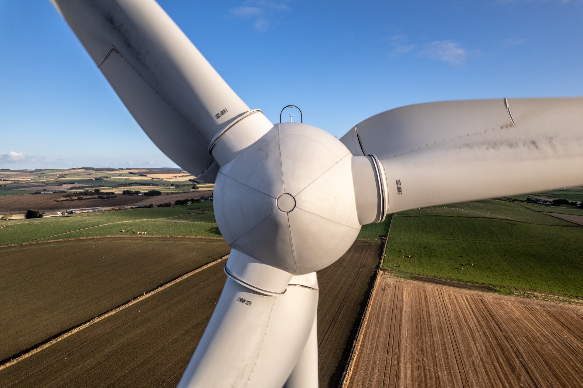 Zdroj: Envatoelements